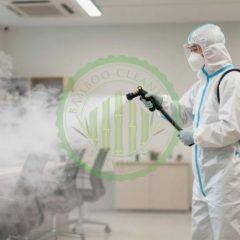 fogging and sanitization