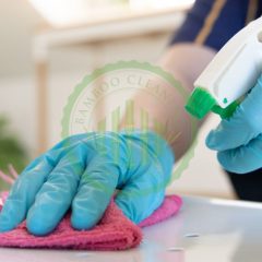 general cleaning services