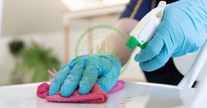 general cleaning services