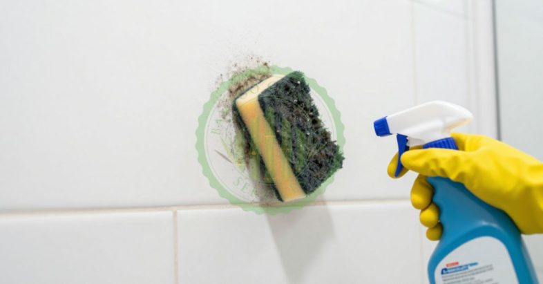how to remove mould