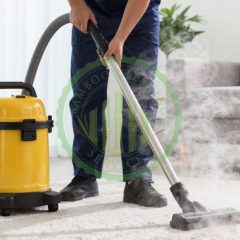 steam cleaning